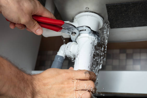 Best Local water damage restoration  in Zebulon, GA