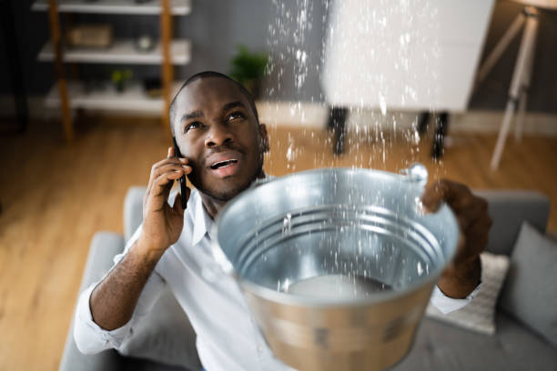 Best Water damage restoration company  in Zebulon, GA