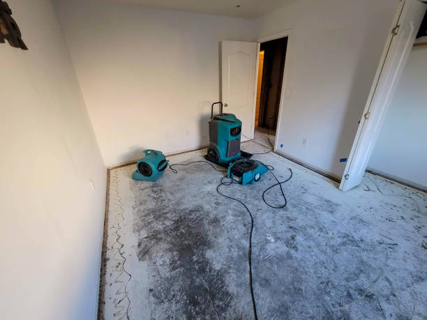 Best Carpet water damage restoration  in Zebulon, GA