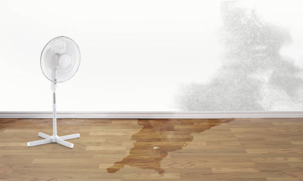 Water damage restoration insurance claims in Zebulon, GA