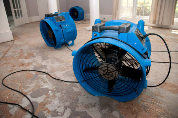 Best Sewage cleanup and water damage restoration  in Zebulon, GA