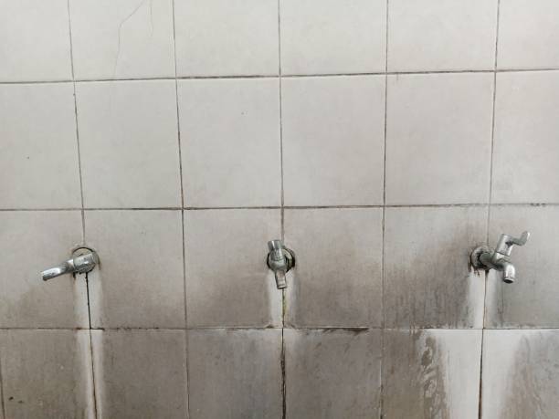 Best Professional water damage repair  in Zebulon, GA