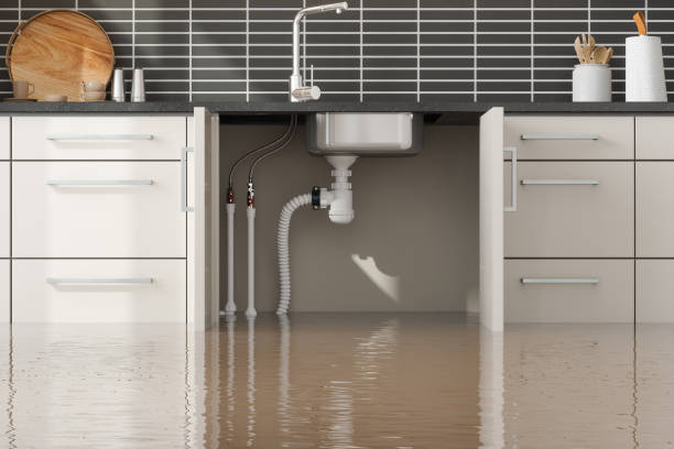 Best Flood damage cleanup  in Zebulon, GA
