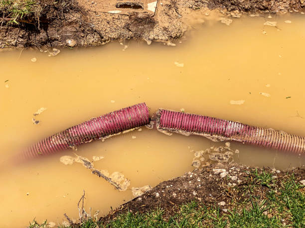 Best Water damage contractors near me  in Zebulon, GA